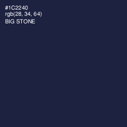 #1C2240 - Big Stone Color Image